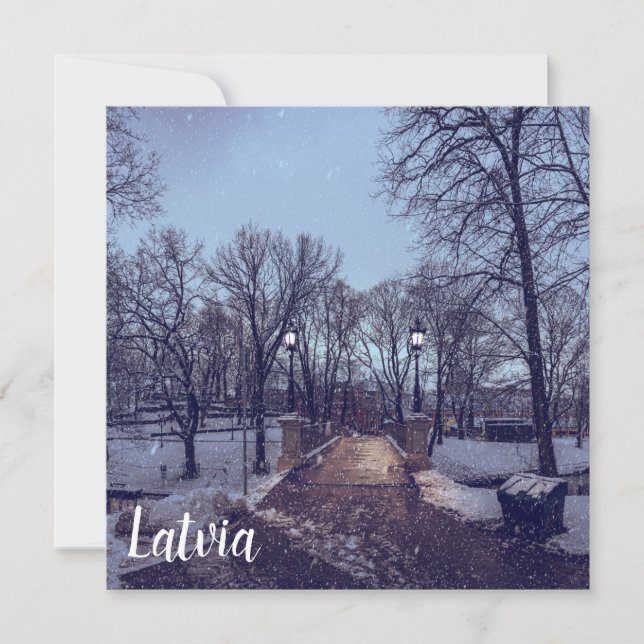 Parque da cidade de neve de inverno à noite (Frente)