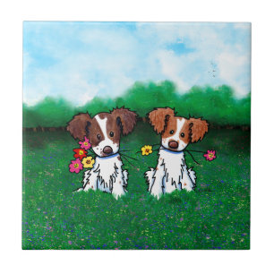 Parque de Cães Brittany Dogs KiniArt