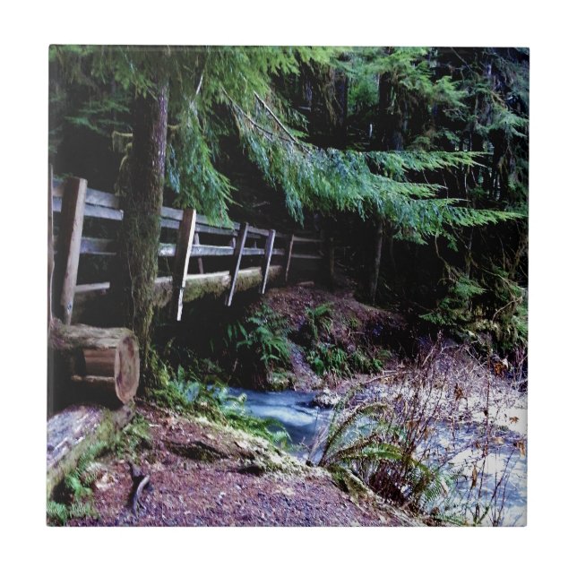 Parque de Olimpiadas Rustic Wooden Bridge (Frente)