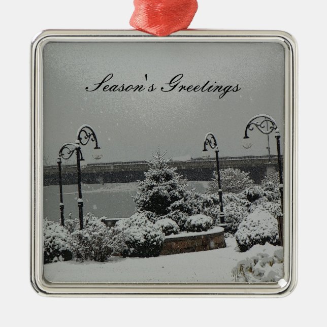 Parque do beira-rio do ornamento (Frente)