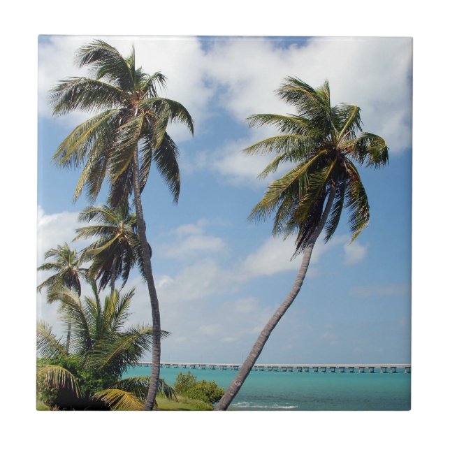 Parque Estadual da Bahia Honda (Frente)