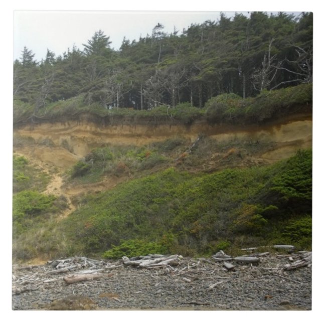 Parque Estadual Netuno, OR (Frente)