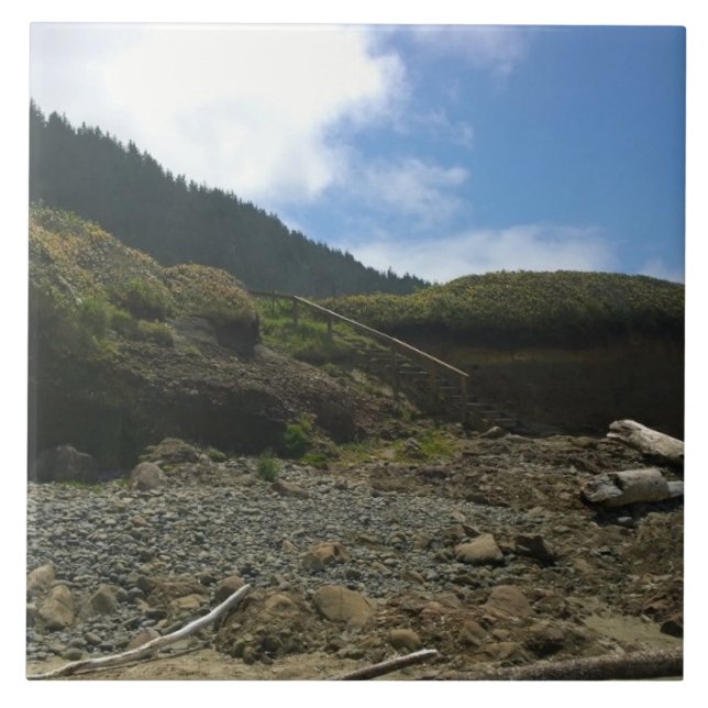 Parque Estadual Netuno, OR (Frente)