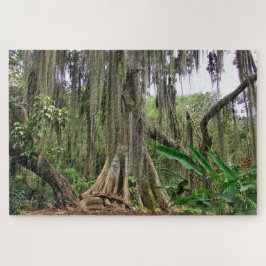 Parque Gallineral de San Gil Jig Saw Quebra-cabeça