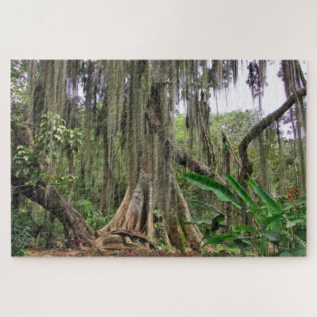 Parque Gallineral de San Gil Jig Saw Quebra-cabeça (Horizontal)