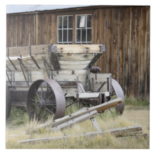 Parque Histórico Estadual Bodie, CA
