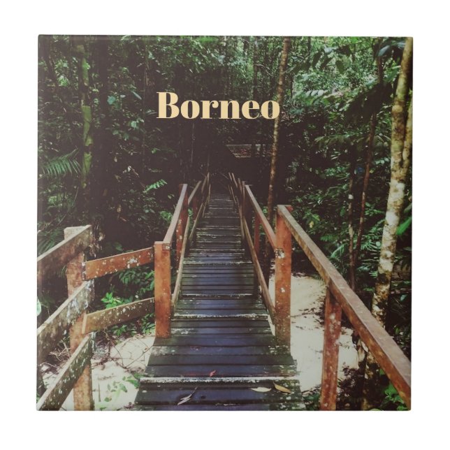 Parque Nacional Bako - Borneu (Frente)