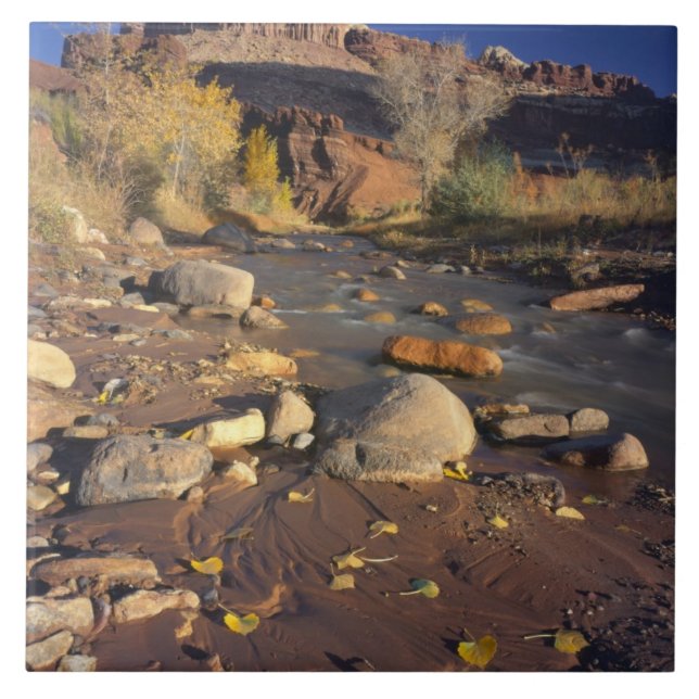 PARQUE NACIONAL CAPITOL REEF, UT, EUA, Cottonwood (Frente)