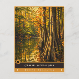 Parque Nacional Congaree Cartão Postal Antigo