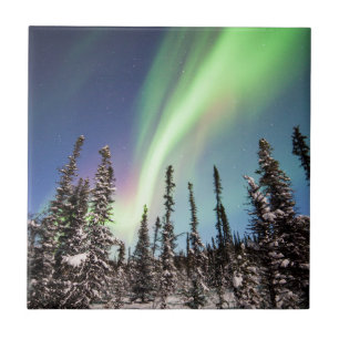 Parque nacional da aurora boreal Denali