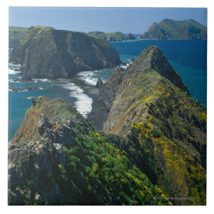 Parque nacional das ilhas channel, do sul