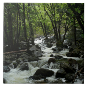 Parque Nacional de Bridalveil Creek em Yosemite