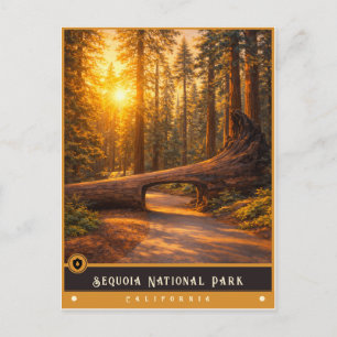 Parque Nacional de Sequoia Cartão Postal Antigo