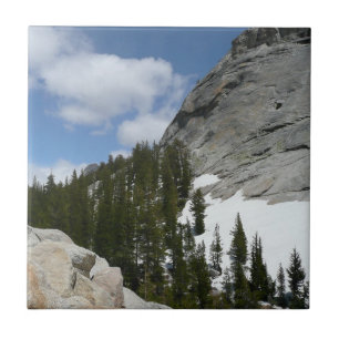 Parque Nacional de Snowy Granite Domes II Yosemite