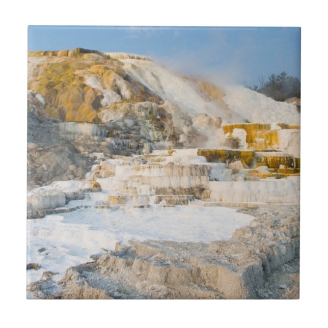 Parque nacional de Yellowstone (Frente)