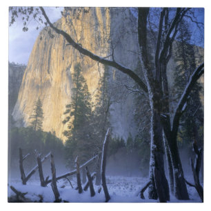 PARQUE NACIONAL DE YOSEMITE, CALIFÓRNIA. EUA. Luz