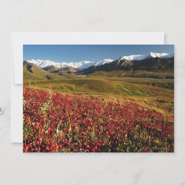 Parque Nacional Denali (Frente)