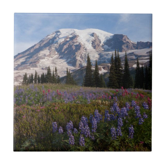 Parque Nacional do Monte Rainier, Monte Rainier 3 (Frente)