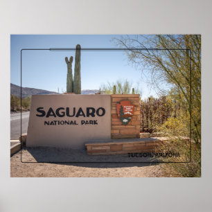 Parque Nacional do Saguaro - Poster do Deserto Ari