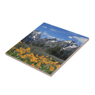 Parque Nacional Grand Teton