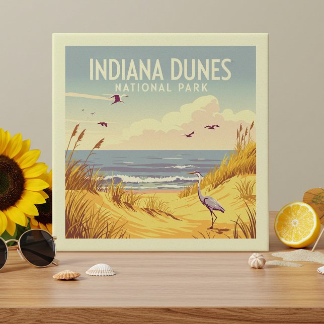Parque Nacional Indiana Dunes Vintage  (Criador carregado)