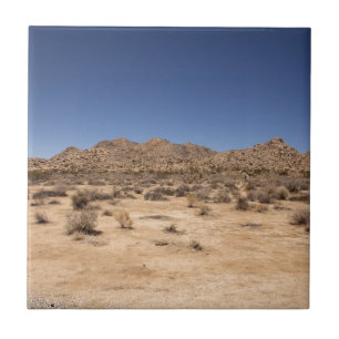 Parque Nacional Joshua Tree