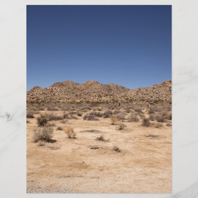 Parque Nacional Joshua Tree (Frente)