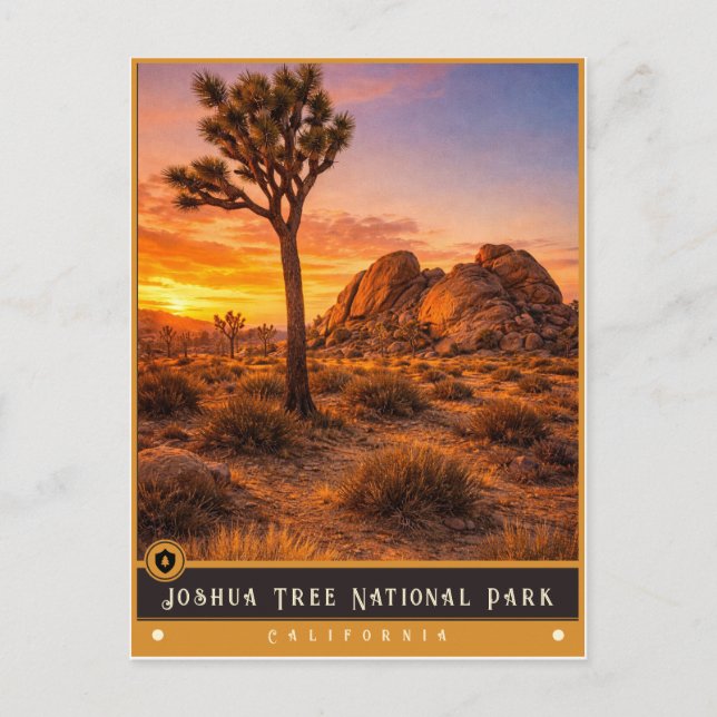 Parque Nacional Joshua Tree | Cartão Postal Antigo (Frente)