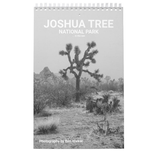 Parque Nacional Joshua Tree... No Calendário da Ch (Capa)