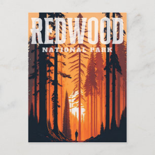 Parque Nacional Redwood, cartão postal CA