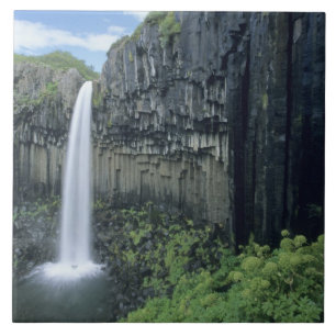 Parque Nacional Skaftafell, cascata Svartifoss,