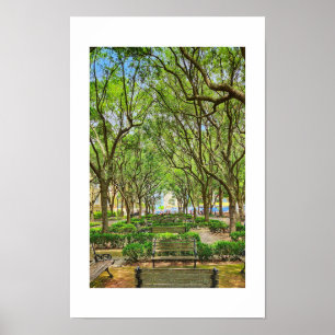 Parque Waterfront em Charleston, SC poster