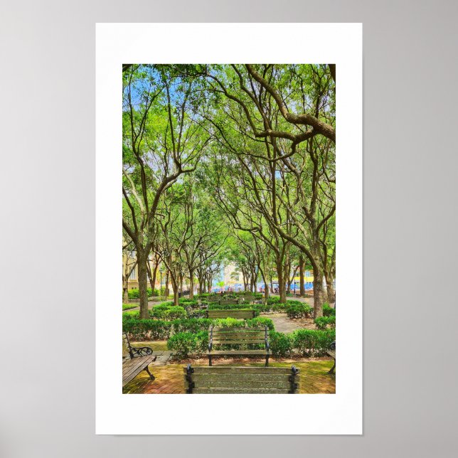 Parque Waterfront em Charleston, SC poster (Frente)