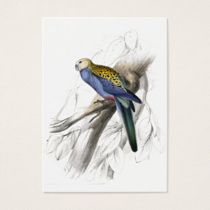 Parrakeet de Paleheaded por Edward Lear
