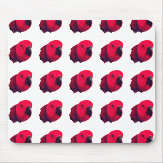 PARROGAS VERMELHAS MOUSEPAD