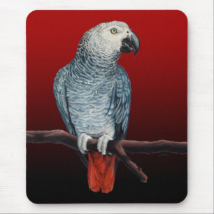 Parrot Art Mousepad Cinzas Africanas Presentes