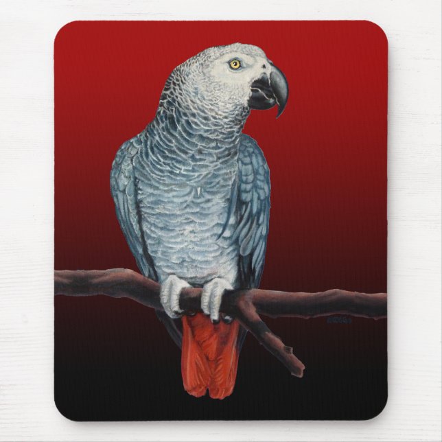 Parrot Art Mousepad Cinzas Africanas Presentes (Frente)