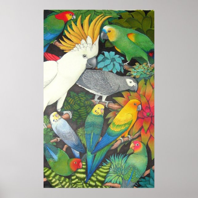 Parrots and Bromeliads Poster (Frente)