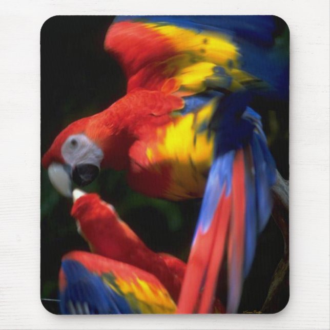 Parrots In Love Mousepad (Frente)