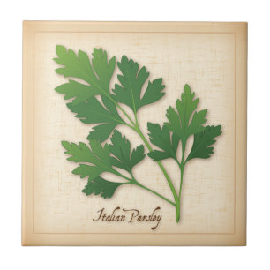 Parsley Herb italiano