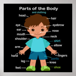 Partes do Poster do corpo