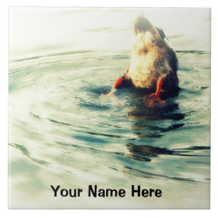 Partes inferiores ACIMA! Foto engraçada do bumbum