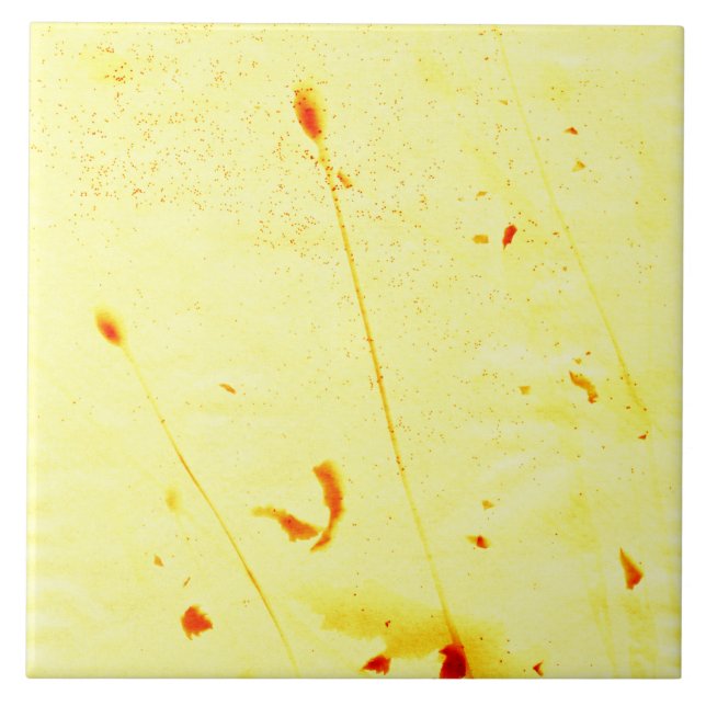 Pás de papoila secas (Frente)