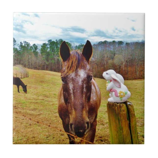 Páscoa Bunny e Cavalo Marrom (Frente)