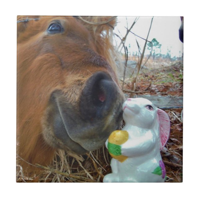 Páscoa Bunny e Cavalo Marrom (Frente)