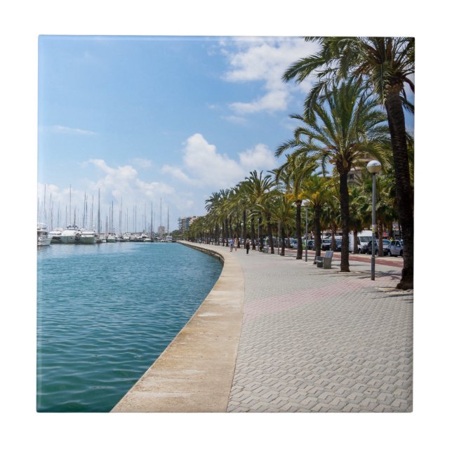 Paseo maritimo - Palma de Maiorca, Espanha (Frente)