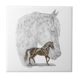 Paso Fino Horse Art