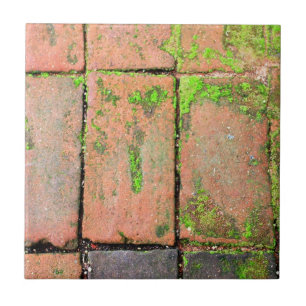 Passagem dos tijolos