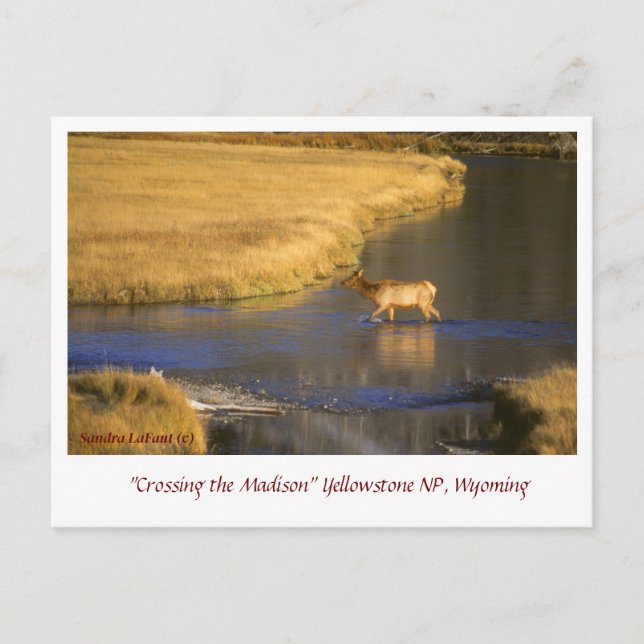 Passando pelo cartão postal de Madison (Frente)