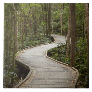 Passarela para Nelson Falls, Franklin - Gordon